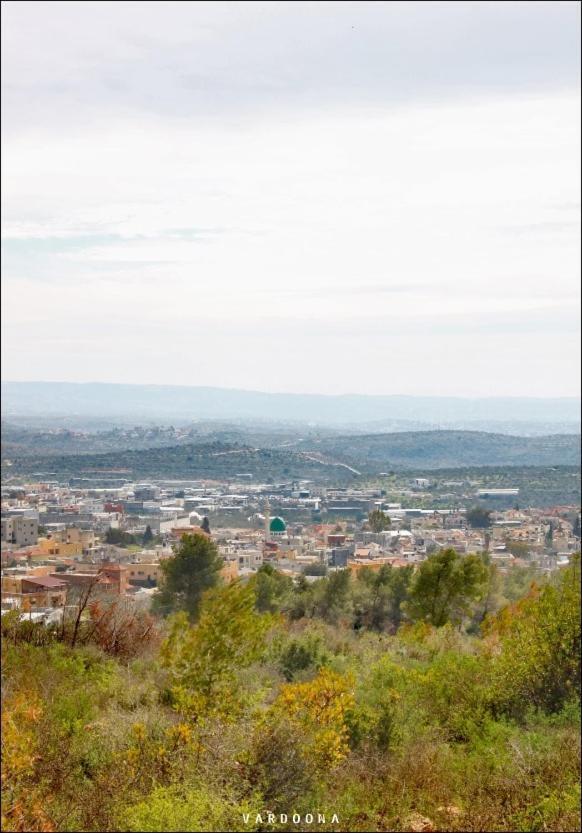 Vitals On The Mountain In * Katzir